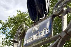 Property thumbnail 19