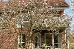 Schmuckstück in Bielefeld-Schildesche: EG-Wohnung mit Gartenidylle! Sicher und langfristig vermietet – Die vollständige Adresse der Immobilie erhältst du vom Anbieter., 33611 Schildesche, Bielefeld – Vorschaubild 22