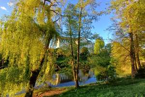 Property thumbnail 5