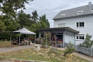 Neuwertiges 5 Familienhaus mit Ladenlokal – 68259 Feudenheim, Mannheim – Vorschaubild 2