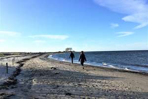 Bungalow an der Hohwachter Bucht vereint Ruhe, Natur und Wohnkomfort auf besondere Weise – Die vollständige Adresse der Immobilie erhältst du vom Anbieter., 24321 Behrensdorf (Ostsee) – Vorschaubild 19
