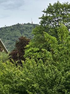 Renovierungsbedürftiges 2-Zi Penthouse mit Aufzug in Baden-Baden Innenstadt