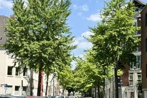 MITTENDRIN - GEMÜTLICHES SINGLE-APARTMENT – Palanterstraße 9, 50937 Sülz, Köln – Vorschaubild 10