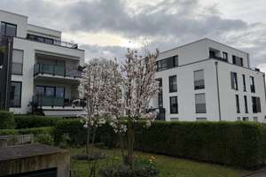 3 Zimmer Erdgeschoßwohnung