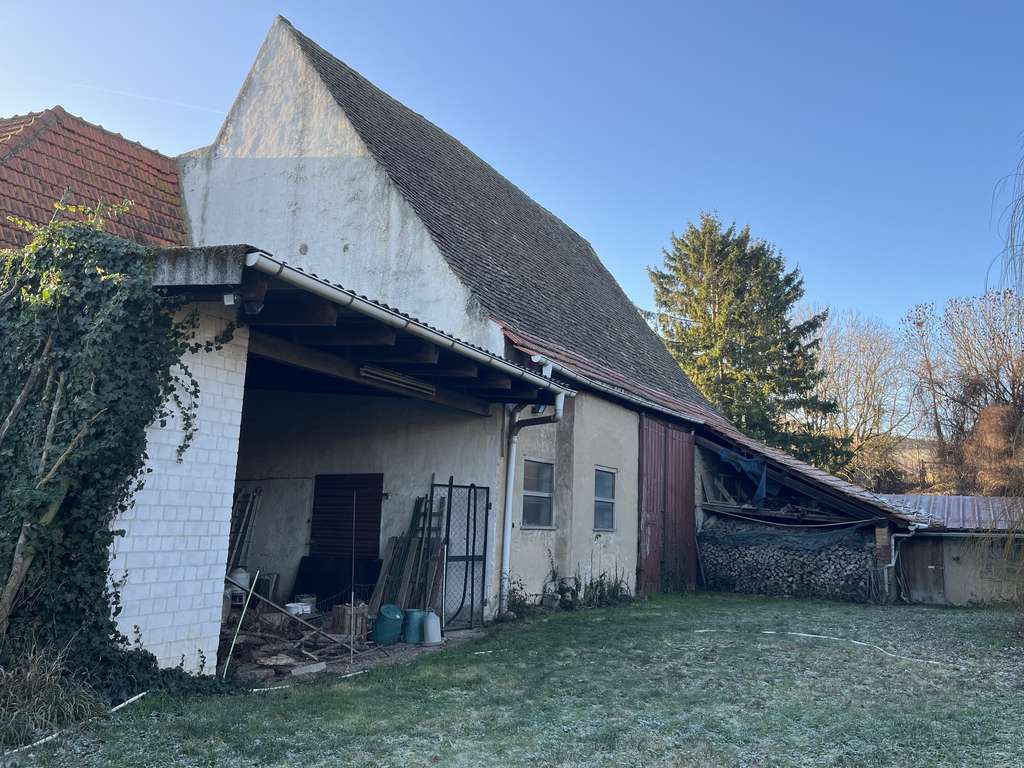 Immobilie in Dittelsheim-Heßloch - Ehemaliges Weingut mit großem Grundstück - vielseitig nutzbar - Bild 4