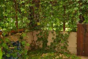 Mehrgenerationenhaus mit Potenzial und Traumgarten – Esslingen (Kreis) – Vorschaubild 4