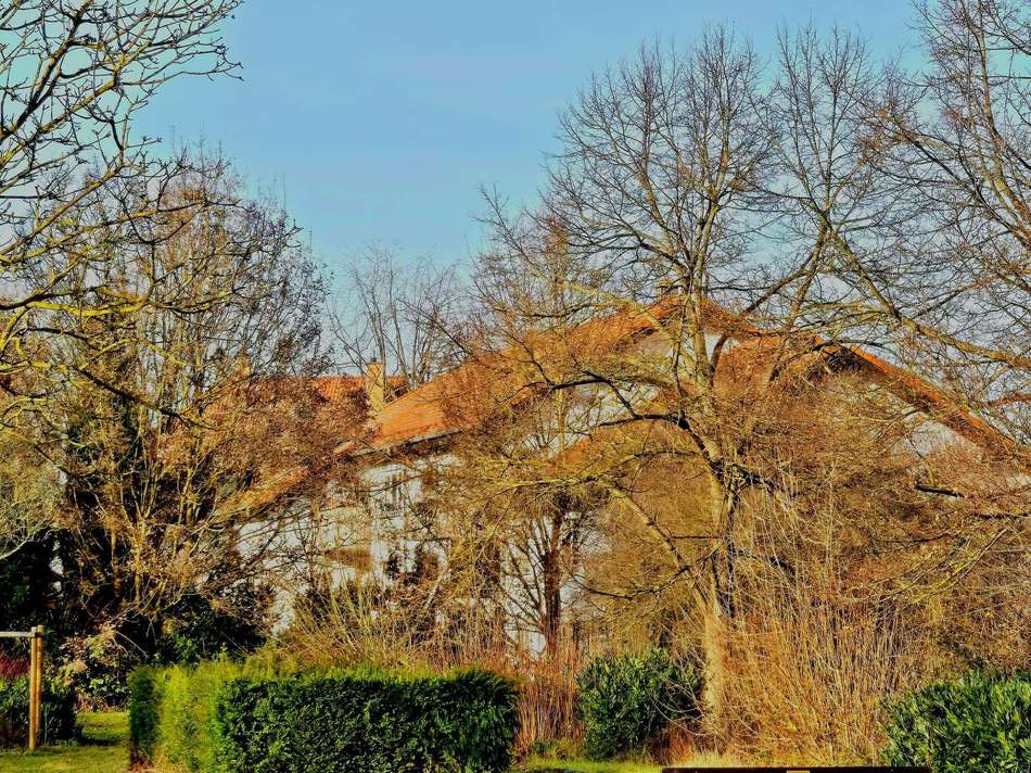 pqU8BvamqaTMd1rVCSmaPRCm-big W