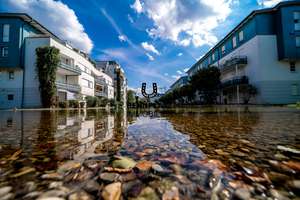 Renovierte 4-Zimmer-Wohnung mit Garten in Tretzel-Anlage. Frei! Open-House-Events: 31.07. + 06.08.! – Die vollständige Adresse der Immobilie erhältst du vom Anbieter., 93049 Westenviertel, Regensburg – Vorschaubild 19