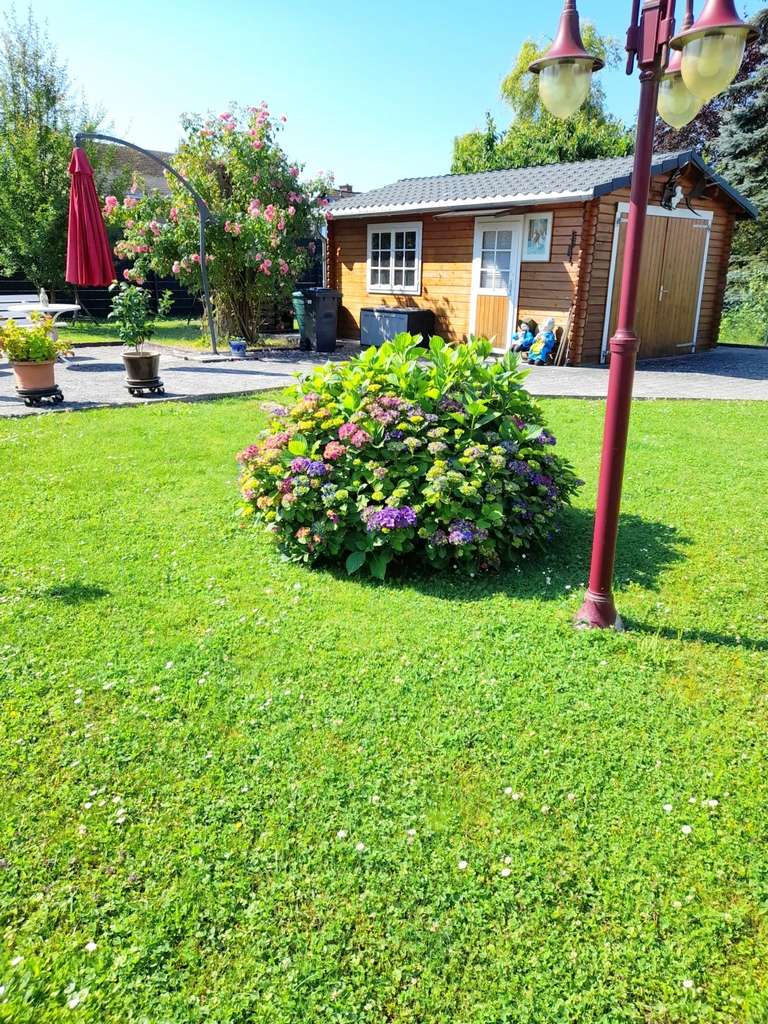 Immobilie in Merenberg - Sehr gepflegtes Einfamilienhaus in bester Lage von Merenberg im Landkreis Limburg Weilburg - Bild 4