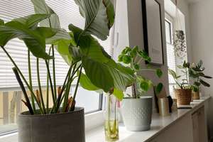 Hochwertige, helle, 3-Zimmer-Eigentumswohnung mit Balkon in zentraler Lage von Essen-Rüttenscheid!29 – Fridtjof-Nansen-Str. 8, 45131 Rüttenscheid, Essen – Vorschaubild 15