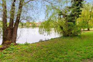 Property thumbnail 13