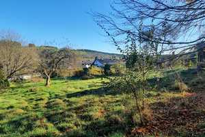 Beliebter historischer Landgasthof mit vielen Nutzungsmöglichkeiten zu verkaufen – Trierer Strasse 40, 53949 Euskirchen (Kreis) – Vorschaubild 15