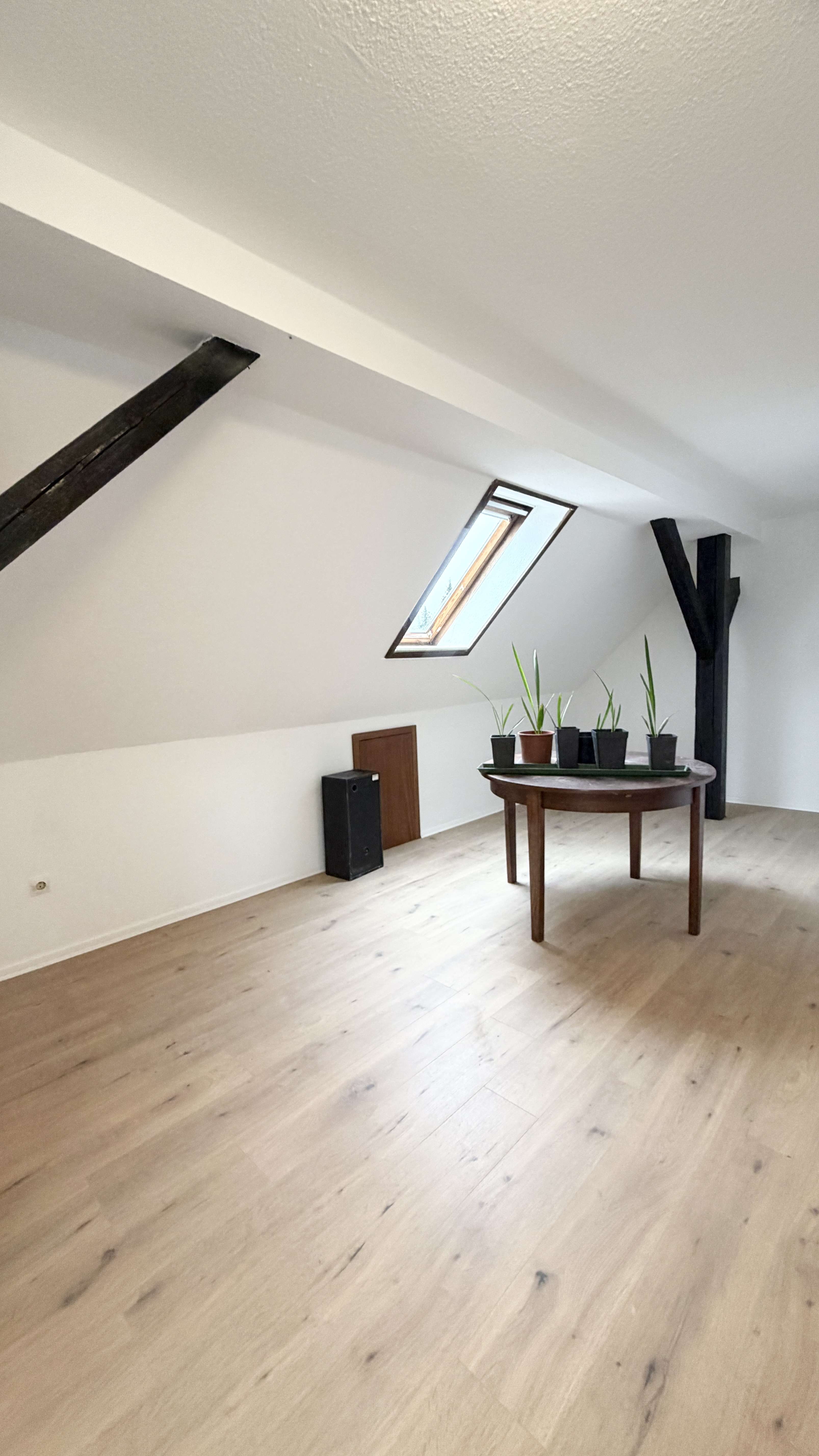 Immobilie in Coppenbrügge - Leerstehendes saniertes 3-Familienhaus + Gewerbeeinheit! Über 10% Rendite p. a. möglich - Bild 1