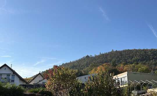 Großes Einfamilienhaus in Frankweiler - sanierungsbedürftig - genehmigtes Ausbaupotential