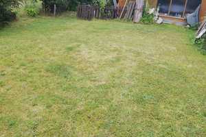 Freistehendes 1 Fam. Haus mit großem Garten und Ladengeschäft in Berwangen – Heilbronn (Kreis) – Vorschaubild 7