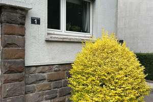 Alltagstaugliche 2,5-Zimmer-Wohnung in Essen-Bergerhausen, Nahe Elizabeth KH und Evang. KEM – Elsa-Brändström-Straße 1, 45136 Huttrop, Essen – Vorschaubild 2