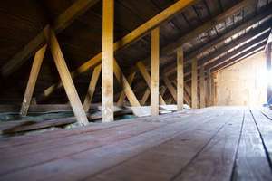 Eigenheim im Grünen - modernisiertes Einfamilienhaus im Bungalow-Stil – Die vollständige Adresse der Immobilie erhältst du vom Anbieter., 13159 Blankenfelde, Berlin – Vorschaubild 14