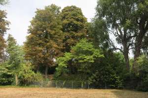 Schönes Apartment in Köln-Mülheim in ruhiger Bestlage mit Gartenblick – Die vollständige Adresse der Immobilie erhältst du vom Anbieter., 51063 Mülheim (Ortsteil), Köln – Vorschaubild 1