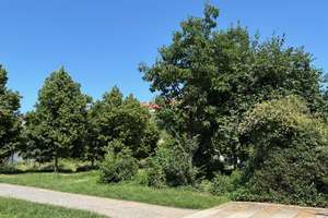 Property thumbnail 16