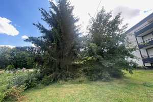 Bad Wimpfen, Nähe Friedhof, großes Grundstück, älteres renovierungsbedürftiges EFH – Rappenauerstraße 39, 74206 Heilbronn (Kreis) – Vorschaubild 49