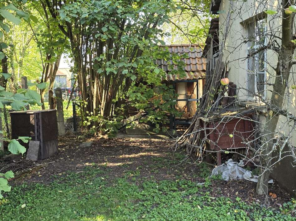 Garten hinter dem Haus