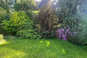 Sanierungsbedürftiges EFH mit großem Garten in zweiter Reihe – Die vollständige Adresse der Immobilie erhältst du vom Anbieter., 22145 Rahlstedt, Hamburg – Vorschaubild 21