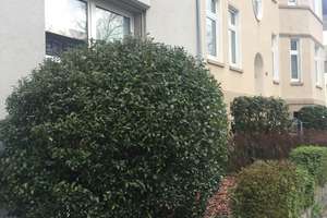 4-Zimmer-Wohnung mit Balkon in Essen-Holsterhausen