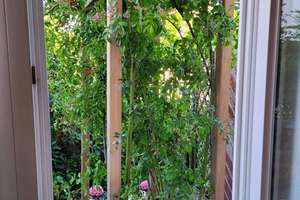 Lichtdurchflutete 2,5-Zimmer-Erdgeschosswohnung mit Terrasse und eigenem Gartenanteil – Die vollständige Adresse der Immobilie erhältst du vom Anbieter., 74182 Obersulm – Vorschaubild 6