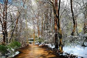 Property thumbnail 22