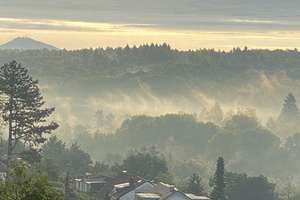 Zuhause mit viel Platz in Wachtberg – Pecher Waldstraße 5, 53343 Wachtberg – Vorschaubild 17