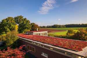 Luxuriöser, architektonisch einzigartiger Bungalow in naturnaher Umgebung – Kleve (Kreis) – Vorschaubild 28