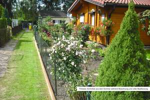 Freizeitgrundstück in Potsdam-Babelsberg | Eigentumsgrundstück mit Bungalow und Gartenidylle – Die vollständige Adresse der Immobilie erhältst du vom Anbieter., 14480 Am Stern, Potsdam – Vorschaubild 8