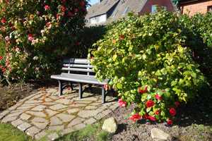 Ein Traum für Gartenliebhaber - reizendes Häuschen in ruhiger Lage von Jever! – Friesland (Kreis) – Vorschaubild 4