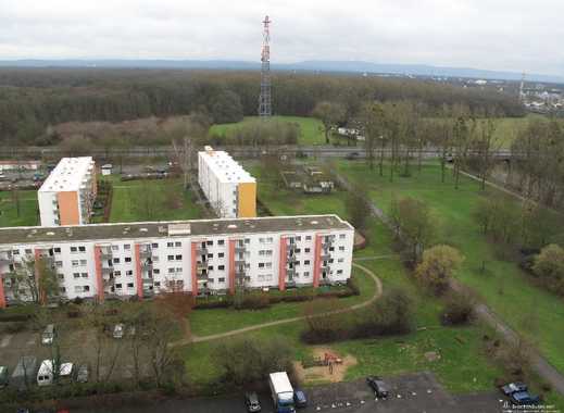 Single wohnung hanau