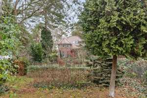 Bungalow auf großem Grundstück in Konradshöhe – Berlin – Vorschaubild 3