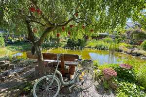 ***GARTEN- UND WOHNTRÄUME WERDEN WAHR***  – Salzlandkreis – Vorschaubild 24