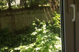 20 m² Appartement in der Moselresidenz in Trier Kürenz – Güterstraße 49, App. 064, 54295 Kürenz, Trier – Vorschaubild 15