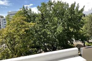 Helle 3-Zimmer-Wohnung mit Balkon / 115 m² – Am Bonneshof 30, 40474 Golzheim, Düsseldorf – Vorschaubild 15