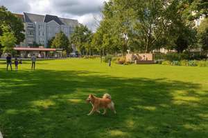 Top gepflegt und modern - Eigenbedarf möglich - nahe Olivaer Platz – Die vollständige Adresse der Immobilie erhältst du vom Anbieter., 10707 Wilmersdorf, Berlin – Vorschaubild 7