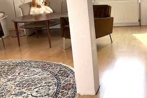Gepflegtes Haus in parkähnlicher Siedlung in Altencelle - provisionsfrei – Celle (Kreis) – Vorschaubild 18