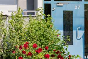Wir sanieren: große 5-Zimmerwohnung mit Balkon! – Finsterwalder Str. 27, 1239 Dresden – Vorschaubild 1