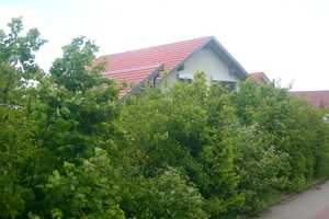 Schönes Wohnhaus in ruhiger Lage – Main-Tauber-Kreis – Vorschaubild 3
