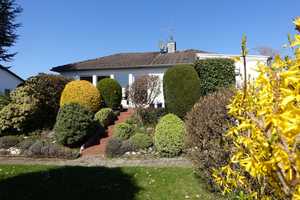 Top-gepflegter Bungalow in sonniger Lage – Hochtaunuskreis – Vorschaubild 1