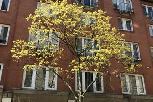 Charmante 3-Zimmer Maisonette-Wohnung im 4. OG in Kiel-Gaarden-Ost
