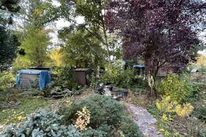 Property thumbnail 17