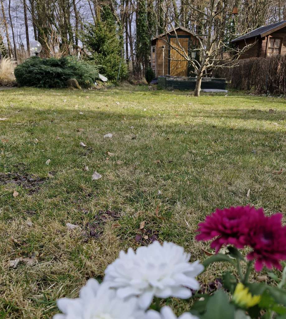 Immobilie in Lohsa - Łaz - Gartengrundstück mit Finnhütte von Privat zu verkaufen - Bild 3