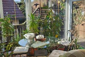Großzügiges Einfamilienhaus mit Wintergarten, Terrasse & Balkon in Plaue – Im Kleinen Felde 29, 99338 Plaue – Vorschaubild 4