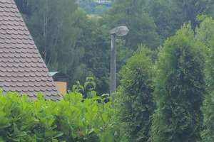 Hochwertiges Architektenhaus (Baujahr 2012, Erstbezug 2013) – KfW-70-Einfamilienhaus in traumhafter  – Am Kugelfang 1, 91220 Schnaittach – Vorschaubild 19