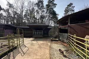 Reitanlage mit Stall und schönen Landhaus in St. Ingbert-Hassel zu verkaufen. – Die vollständige Adresse der Immobilie erhältst du vom Anbieter., 66386 Sankt Ingbert – Vorschaubild 26