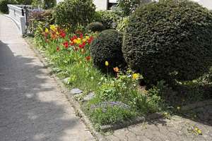 Reihenhaus, Koblenz, Asterstein, Toplage, großer Garten, leer – Gertrud minus von minus Lee minus Ford minus Straße 13, 56077 Arenberg, Koblenz – Vorschaubild 12